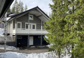 Villa IRIS 3, Himos Jämsä